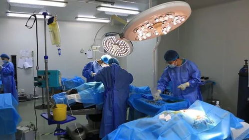 科技引领 高起点布局 海河生物助力区域生物医药产业腾飞